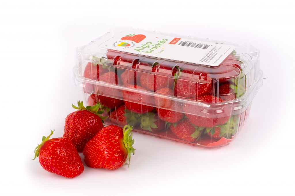 Fresh strawberries Algis